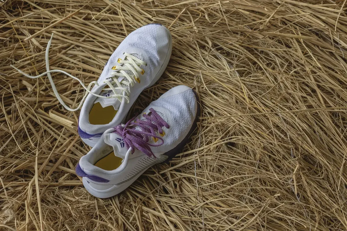Mamba10