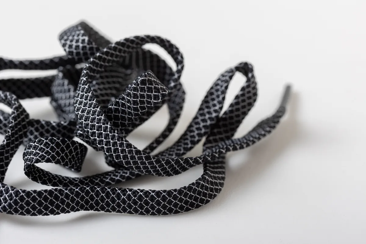 Black Mamba 黑曼巴 特寫