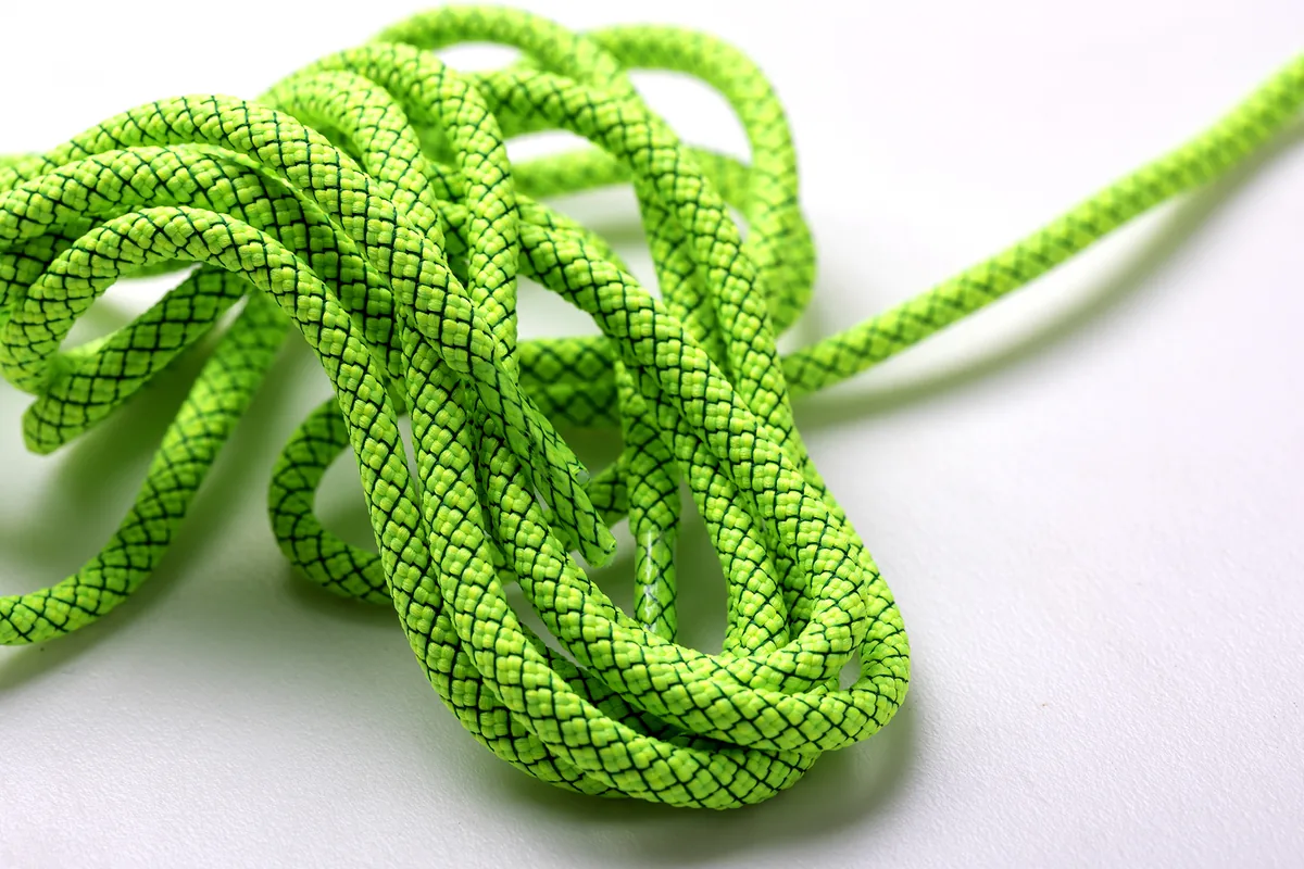 Bamboo Viper 青竹絲 特寫